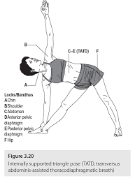 Image result for Femoral Retroversion
