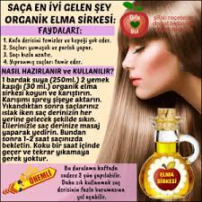 sirkenin saca faydasi sac modelleri