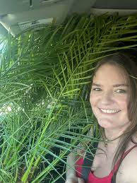 What are the unknown seedlings in the first three pictures?