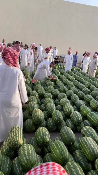 Watermelon of Saudi Arabia.. 🇸🇦🍉🍈😍 #sauditimes