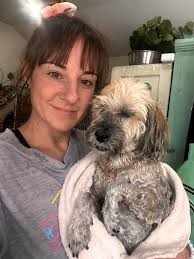 Lakeside Dog Grooming