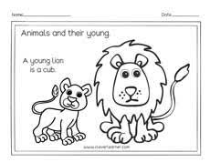 Animals And The Names Of Their Young Ones Worksheets For Preschools Animal Lessons Preschool Young Ones Of Animals
