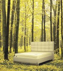 Uyku Kadar Dogal Doga Dogal