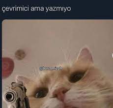 eda adli kullanicinin islami sanat panosundaki pin komik kedi resimleri komik tumblr guzel kediler