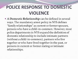 Approximately 38 states place domestic violence definitions and penalties within the criminal code and nearly every state provides a definition within the domestic relations or social services codes. Police Response To Domestic Violence Ppt Download