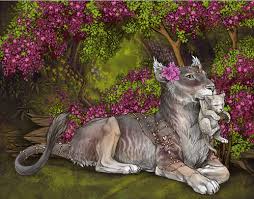 Image result for Brachycorythis congoensis