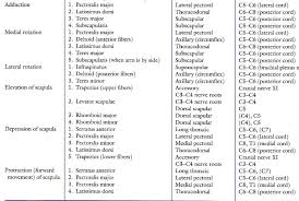 Movements Manual Muscle Testing Goniometry Shoulder Complex