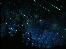 Possible Wall Mural With Glow Paint Ceiling Murals Sky Ceiling Glow Paint
