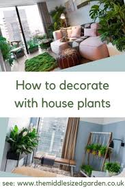 Some indoor plants can survive long drought and neglect spells while others require continuous care. How To Decorate With Indoor Plants Latest Trends The Middle Sized Garden Gardening Blog