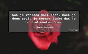 Toon Hermans 32 Citaten Quotes En Wijsheden Citaten Net