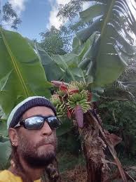 Good old WAPA strikes again!! 😡