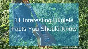 Pixie dust, magic mirrors, and genies are all considered forms of cheating and will disqualify your score on this test! 11 Interesting Ukulele Facts You Should Know Musician Authority