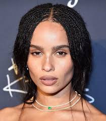 Who do you think is more beautiful Lisa Bonet or Zoe kravitz? :  r/VindictaRateCelebs