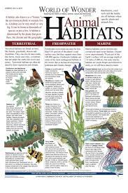 Pin On Animals Birds Ect