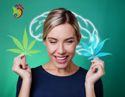 How terpenes transform cannabis products