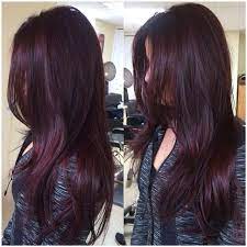 Red Violet Hair Styles Hair Color Mahogany Hair Color Plum