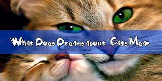 Your dream about kittens could also symbolize your developing need for independence — you're ready to stop being snuggled, and start exploring the big, wide world! 48 Dreams About Cats Meaning Interpretation Cat Dream Meaning