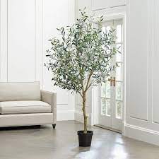 Bonsai tree, fake plants ceramic potted tree artificial japanese cedar bonsai tree decoration for home desk office bathroom kitchen farmhouse indoor/outdoor (bonsai tree #04) 4.5 out of 5 stars 201 $26.99 $ 26. Artificial Olive Tree Crate And Barrel Uae