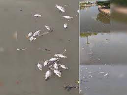 Mohd fariz mohd ali, 38, membuat pengakuan itu di hadapan hakim datuk mohd nasir nordin. Ketua Pegawai Eksekutif Perbadanan Pembangunan Sungai Dan Pantai Melaka Sinar Harian