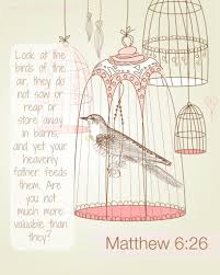 Birds Of The Air Bible Meaning Account Suspended Inspirational Scripture Bible Illustrations Scripture Printables