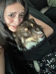 Lost dog found in Wichita Kansas