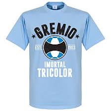 We did not find results for: Umbro Gremio Home Trikot 2020 2021