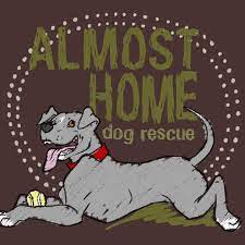 Bring your pets for adorable holiday photos by thousand woofs. Almost Home Dog Rescue Home Facebook