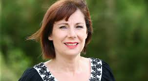 The bitesize ballot: A rough guide to the crucial seats in Dublin and  Leinster that will shape General Election 2020