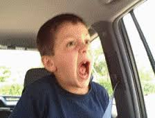 Search, discover and share your favorite what is wrong with you gifs. Your Daily Life In Gifs 1 7 13