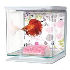 Marina Betta Kit Floral Daƒa C Cor That Fish Place Betta Fish Aquarium Set Betta