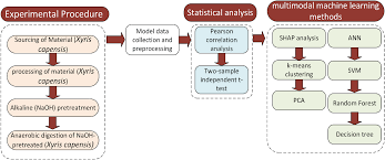 Image result for Xyris capensis