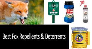 You have a pond, a fountain or an uncovered irrigation system. Top 9 Fox Repellents Deterrents