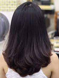 Fashionable Brunette Long Thick Layered Hairstyles For Women Hairstyle Fix Haircuts Straight Hair Medium Hair Styles Haircuts For Medium Hair