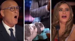 Who is Bill Hernandez? 'The Golden Bachelorette' star turns to ABC show  after struggles with dating apps