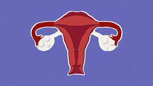 However, this risk could be because of possible cysts on the ovaries that may occur in some women with pcos. What Is Pcos Everything You Need To Know Flare