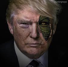 images?q=tbn:ANd9GcT8hXb0oYfEmyrJo_B3prv