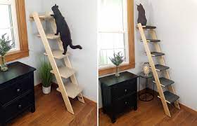 We offer a variety of cat stairs, cat steps and pet stairs, as well as cat ramps and pet ramps, in various heights and models, many all Cat Ladder Great Alternative To A Traditional Cat Tree