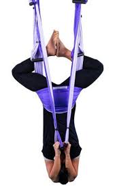 Yogabody Naturals Yoga Trapeze Yoga Swing Sling Inversion Tool Purple Yoga Trapeze Yoga Trapeze Poses Yoga Swing