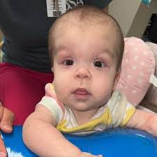 Don't forget that Tuesday, November 12 will be the last day for calendar  sales! Order yours before they're gone!  https://www.mygiving.net/campaign/2025-CSFN-Calendar