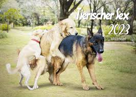 Edition Seidel Tierischer Sex Premium Kalender 2023 DIN A3 Wandkalender  Tiere Hunde Schafe Elefanten Bären Käfer Pferde : Amazon.de: Bücher
