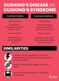 Stress Can Lead To This Weight Gaining Disease Cushings Syndrome Addisons Disease Endocrine Disorders