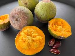 Image result for Pouteria