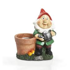 Wilko Gnome With Plant Pot Wilko Potted Plants Plants