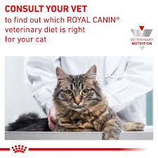 To confuse matters, pancreatitis may sometimes cause elevated creatinine levels. Royal Canin Renal Wet Cat Food Chicken 48x85g Pouches