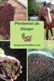 Pferdemist Als Dunger Biogarten Fullhorn Pferdemist Biogarten Regenwassernutzung