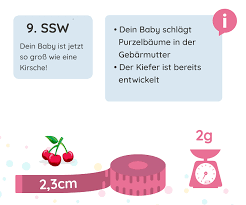 Ab wann kann man frühstens einen schwangerschaftstest machen? 9 Ssw Schwangerschaftswoche