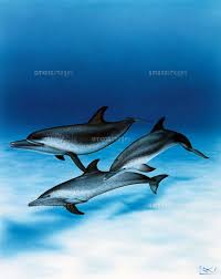 カシオペア カタリナ カミール ガリオ カリスタ カルマ ガレン ガングプランク キヤナ キンドレッド クイン グラガス グレイブス クレッド ケイトリン ケ. ã‚¹ãƒ¼ãƒ'ãƒ¼ãƒªã‚¢ãƒ« ã‚¤ãƒ«ã‚«2 02237008272 ã®å†™çœŸç´ æ ã‚¤ãƒ©ã‚¹ãƒˆç´ æ ã‚¢ãƒžãƒŠã‚¤ãƒ¡ãƒ¼ã‚¸ã‚º