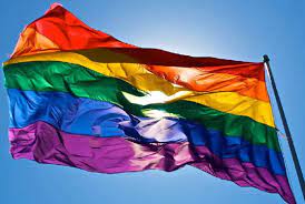 Lezbiyen, gey, biseksüel ve transgender (transeksüel) lgbt bayrağındaki her renk ayrı bir durumu temsil eder. Valilik Bogazici Nde Lgbti Bayraklari Ele Gecirildi Gazete Karinca