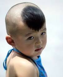 Pin On 2 Hair Of Any Kind From Anyone Be It Animal Human Or Other