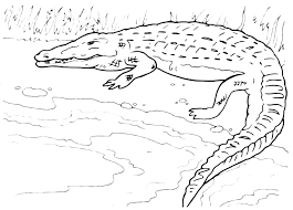 Learn about endangered animals and their babies or prepare for a farm field trip with free animal coloring pages. Animals Crocodile Is Entering In The River